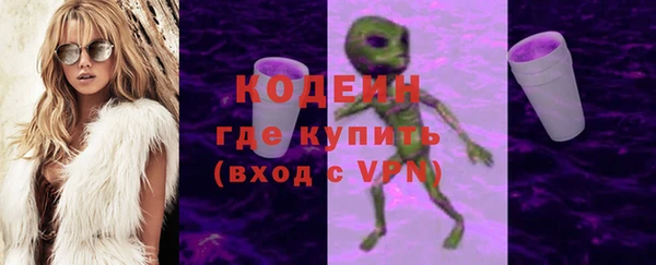 шишки Белокуриха